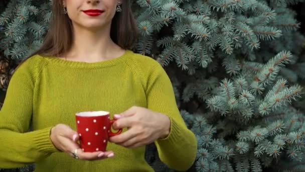 Manos de mujer sosteniendo una acogedora taza roja sobre el fondo de ramas de pino — Vídeo de stock