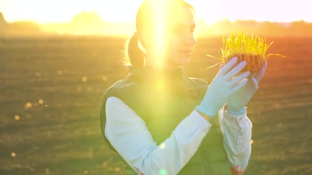 Жінка-фермер досліджує зразок розсади перед посадкою її в грунт — стокове відео
