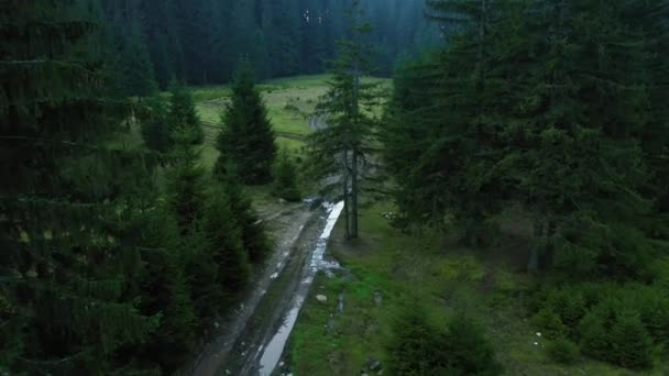 Vista dall'alto della strada persa tra le montagne ricoperte di conifere — Video Stock