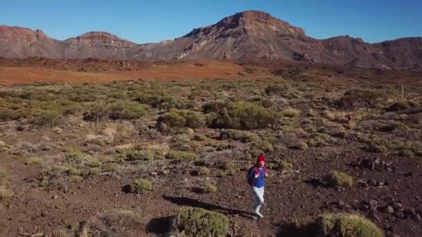 Vista aérea del senderismo activo en el Parque Nacional del Teide. Mujer joven blanca con mochila en Tenerife, Islas Canarias, España — Vídeos de Stock