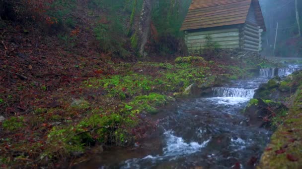 Kleines Haus steht am Ufer eines Gebirgsflusses — Stockvideo
