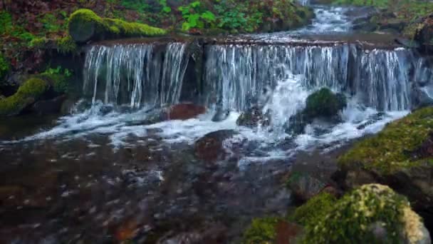 Pittoresco Fiume Montagna Vicino Montagne Carpatiche — Video Stock