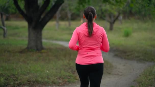 Close up of woman running through an autumn park at sunset, back view. Slow motion — Stock Video