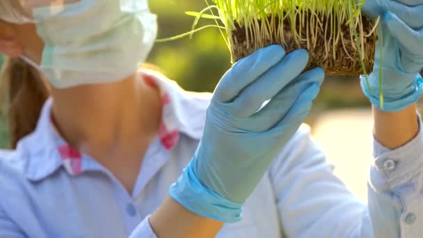 Kvinna vetenskapsman i skyddsglasögon och en mask undersöker ett prov av jord och växter — Stockvideo