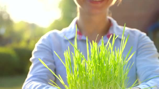 Frauenhände halten eine Handvoll Erde mit grünem Gras in die Höhe. Konzept für Wachstum, Pflege, Nachhaltigkeit, Schutz der Erde, Ökologie und grüne Umwelt — Stockvideo