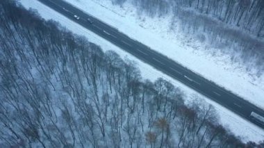 Kışın kış ormanın içinden geçen yol üzerinde trafik havadan görünümü