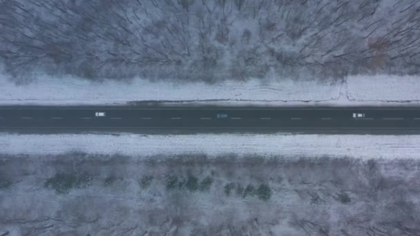 Αεροφωτογραφία της κυκλοφορίας στο δρόμο περνώντας μέσα από το δάσος του χειμώνα σε χειμώνα — Αρχείο Βίντεο