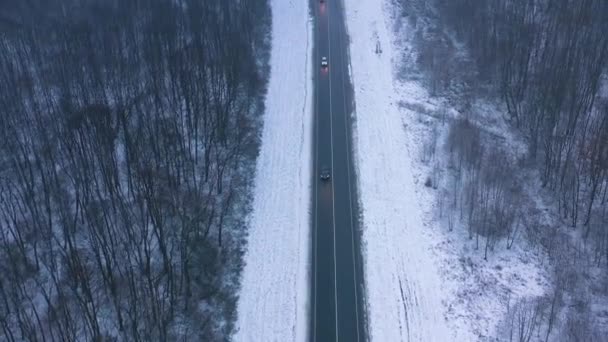 Vista aérea do tráfego na estrada que passa pela floresta de inverno no inverno — Vídeo de Stock