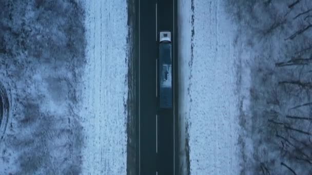 Aerial view of traffic on the road passing through the winter forest in winter — Stock Video