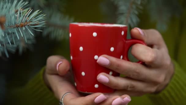 Woman Hands Holding Cozy Red Mug Background Pine Branches Winter — Stock Video