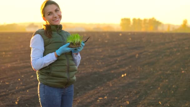 La agricultora está de pie con una muestra de plántulas en la mano a punto de plantarla en el suelo . — Vídeos de Stock