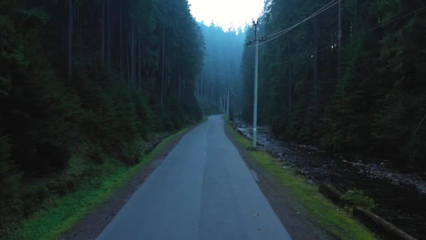 Volando Largo Carretera Las Montañas Rodeadas Bosque Coníferas Video Aéreo — Vídeos de Stock