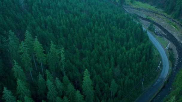 Luchtfoto Van Bergen Bedekt Met Naaldbossen Bos Ochtend Mist — Stockvideo