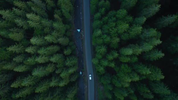 Vista aérea do carro que monta na estrada na floresta conífera entre as montanhas — Vídeo de Stock