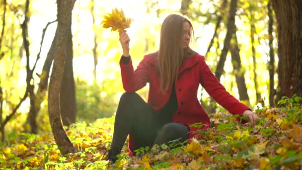 Mooi meisje zit in de herfst bos en verzamelt een boeket van gele esdoorn bladeren — Stockvideo