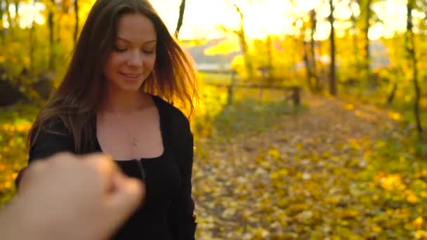 Güzel Kız Erkek Arkadaşı Tutan Sarı Sonbahar Ormanın Içinden Takip — Stok video