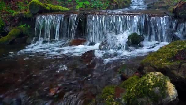 Rivière de montagne pittoresque près 