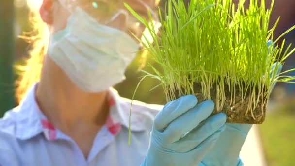 Mulher cientista em óculos e uma máscara examina uma amostra de solo e plantas — Vídeo de Stock