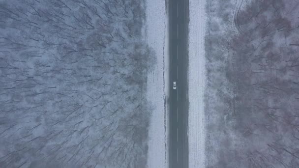 Воздушный обзор движения на дороге, проходящей через зимний лес в суровую погоду — стоковое видео