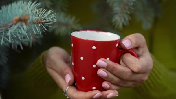 Woman hands holding a cozy red mug against the background of pine branches — Stock Video