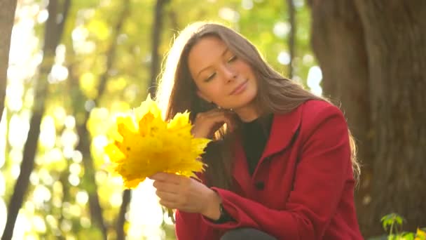 Beautiful girl sits in the autumn forest and collects a bouquet of yellow maple leaves — Stock Video