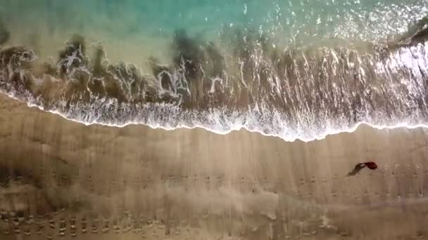 Luchtfoto van een meisje in een rode jurk wandelen op het strand met zwart zand. Tenerife, Canarische eilanden, Spanje — Stockvideo