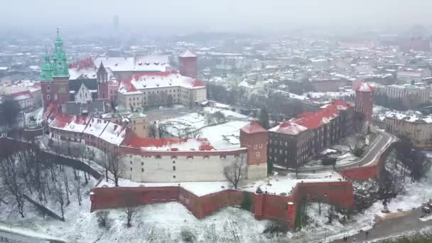 Widok z lotu ptaka Wawel królewskiego zamku i katedry, Wisły, park, promenady i spacerów gdańszczan w zimie. Polska. Nakręcony przy różnych prędkościach: normalne i przyspieszone — Wideo stockowe