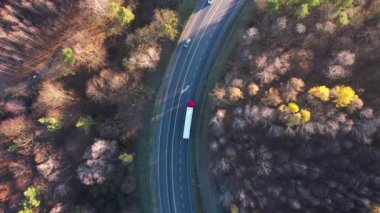Sonbahar ormanıyla çevrili yolda trafik yükseklikten görüntülemek