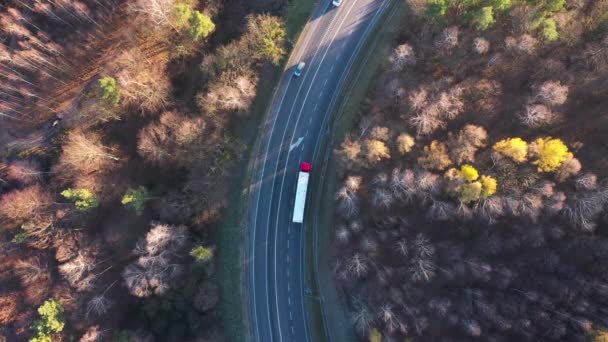 Вид с высоты движения по дороге, окруженной осенним лесом — стоковое видео