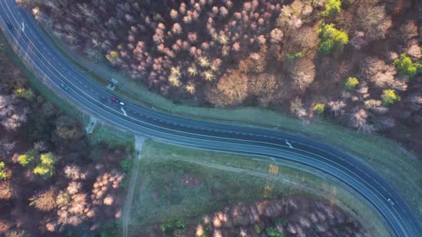 Вид з висоти руху на дорогу, оточену осіннім лісом — стокове відео