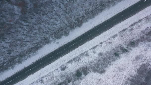 Aerial view of traffic on the road passing through the winter forest in severe weather — Stock Video