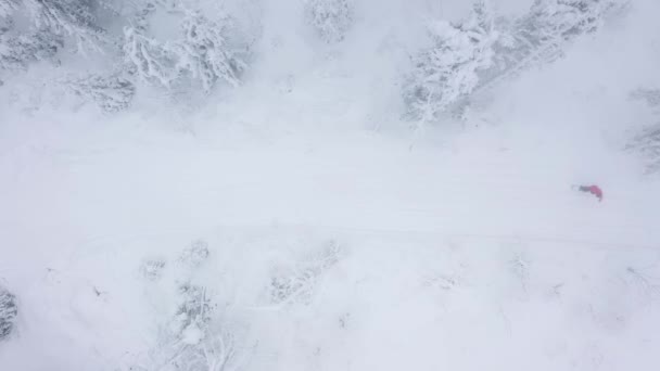 Blick von oben auf einen Mann, der zwischen schneebedeckten Bäumen Snowboard fährt — Stockvideo