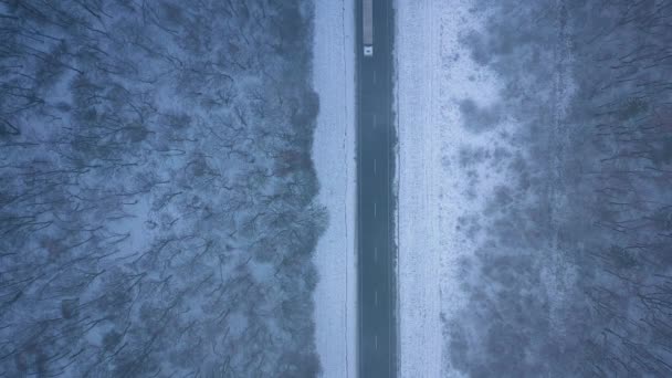 Flygfoto Lastbilar Vägen Passerar Genom Skogen Vintern Snöstorm Vackra Vinterlandskap — Stockvideo