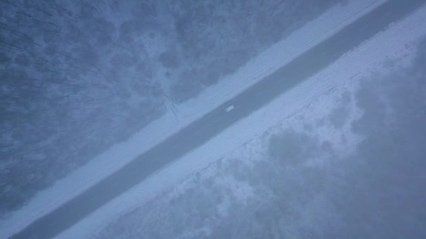 Aerial view of traffic on the road passing through the winter forest in blizzard — Stock Video