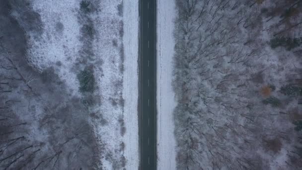 Αεροφωτογραφία της κυκλοφορίας επί της οδού που διέρχεται από το δάσος του χειμώνα σε χιονοθύελλα — Αρχείο Βίντεο