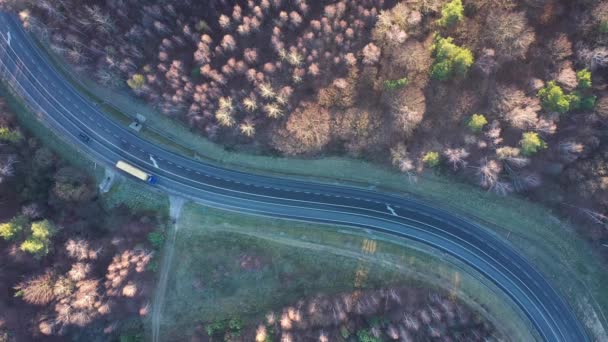 Vista desde la altura del tráfico en la carretera rodeada de bosque de otoño — Vídeos de Stock