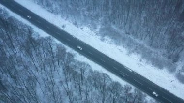 Blizzard kış ormanda geçen yol üzerinde trafik havadan görünümü