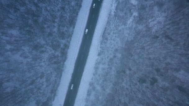 Vista aérea del tráfico en la carretera que pasa a través del bosque de invierno en ventisca — Vídeos de Stock