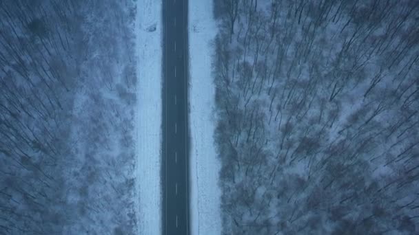 ブリザードで冬の森を通る道路の車の空中写真 — ストック動画