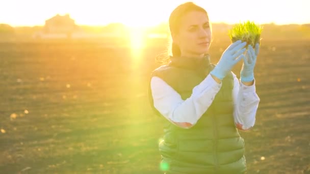 Kvinnliga jordbrukare undersöker ett urval av plantor innan plantering det i marken — Stockvideo