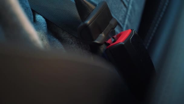 La mano femenina desabrocha el cinturón de seguridad antes de salir del coche — Vídeo de stock
