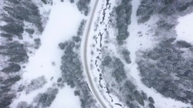 Kış yolu üzerinden uçan, iğne yapraklı orman tarafından çevrili. Güzel kış manzarası