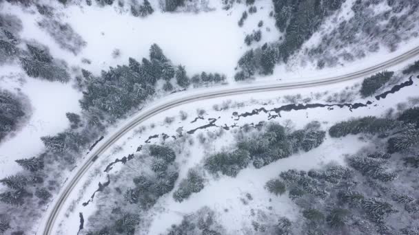 Luftaufnahme eines Autos, das eine Straße entlang fährt, die von Winterwald umgeben ist — Stockvideo