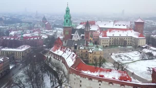 Widok Lotu Ptaka Wawel Królewskiego Zamku Katedry Wisły Park Promenady — Wideo stockowe