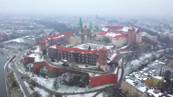 Luchtfoto Van Wawel Koninklijk Kasteel Kathedraal Wisła Park Promenade Wandelende — Stockvideo