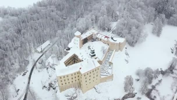 Veduta aerea dello storico castello rinascimentale Pieskowa Skala vicino Cracovia in Polonia in inverno. Girato a varie velocità: normale e accelerato — Video Stock