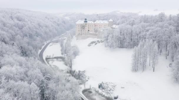 Вид с воздуха О исторический замок Возрождения Пиескова Скала близ Кракова в Польше зимой — стоковое видео