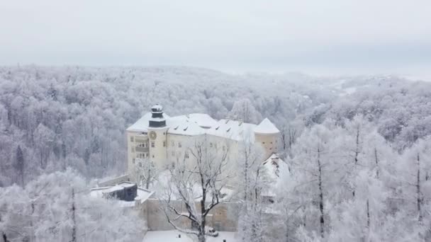 Vista aérea oh histórico castelo renascentista Pieskowa Skala perto de Cracóvia, na Polónia, no inverno — Vídeo de Stock