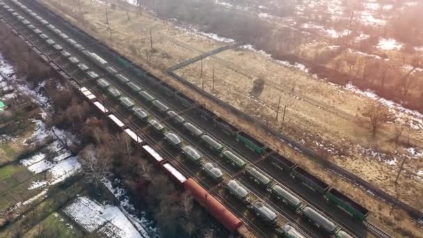 Blick aus der Höhe auf lange Containerfrachtzüge, die Güter durch das Land transportieren — Stockvideo