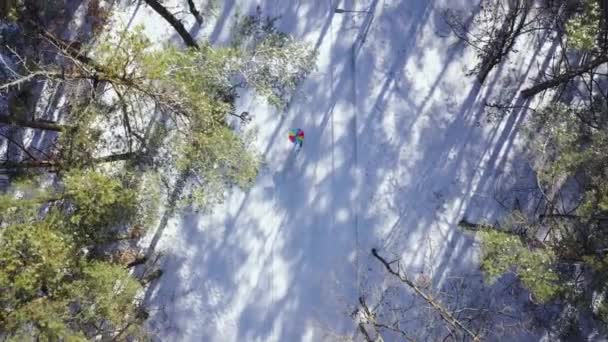 Vista dall'alto su una persona sotto un ombrellone arcobaleno che cammina in inverno lungo una strada tra gli alberi — Video Stock